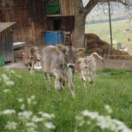 Apartamento Modern Trifft Tradition *