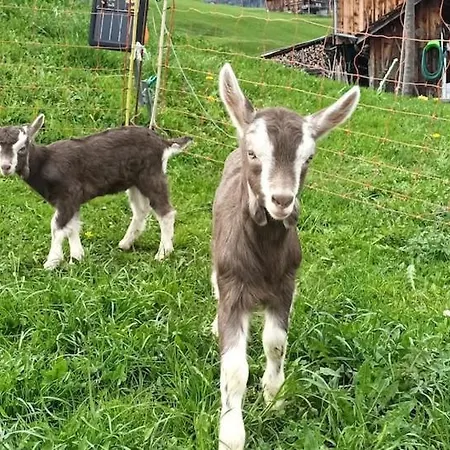 Modern Trifft Tradition Apartamento *