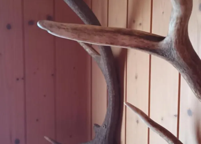 Modern Trifft Tradition *