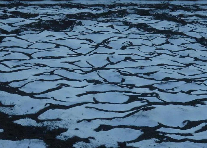 Modern Trifft Tradition *