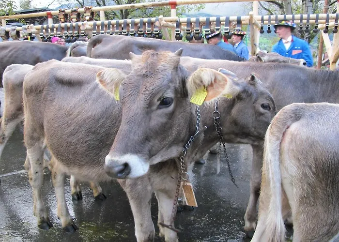 Modern Trifft Tradition * Grabs