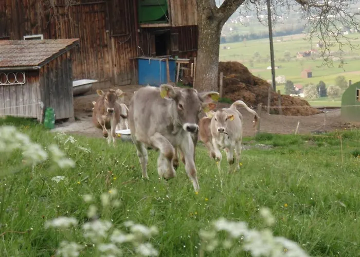 Lejlighed Modern Trifft Tradition *