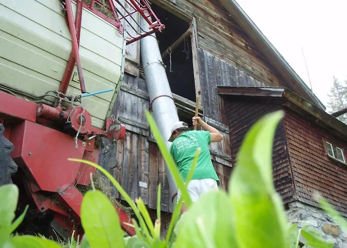 Modern Trifft Tradition Grabs